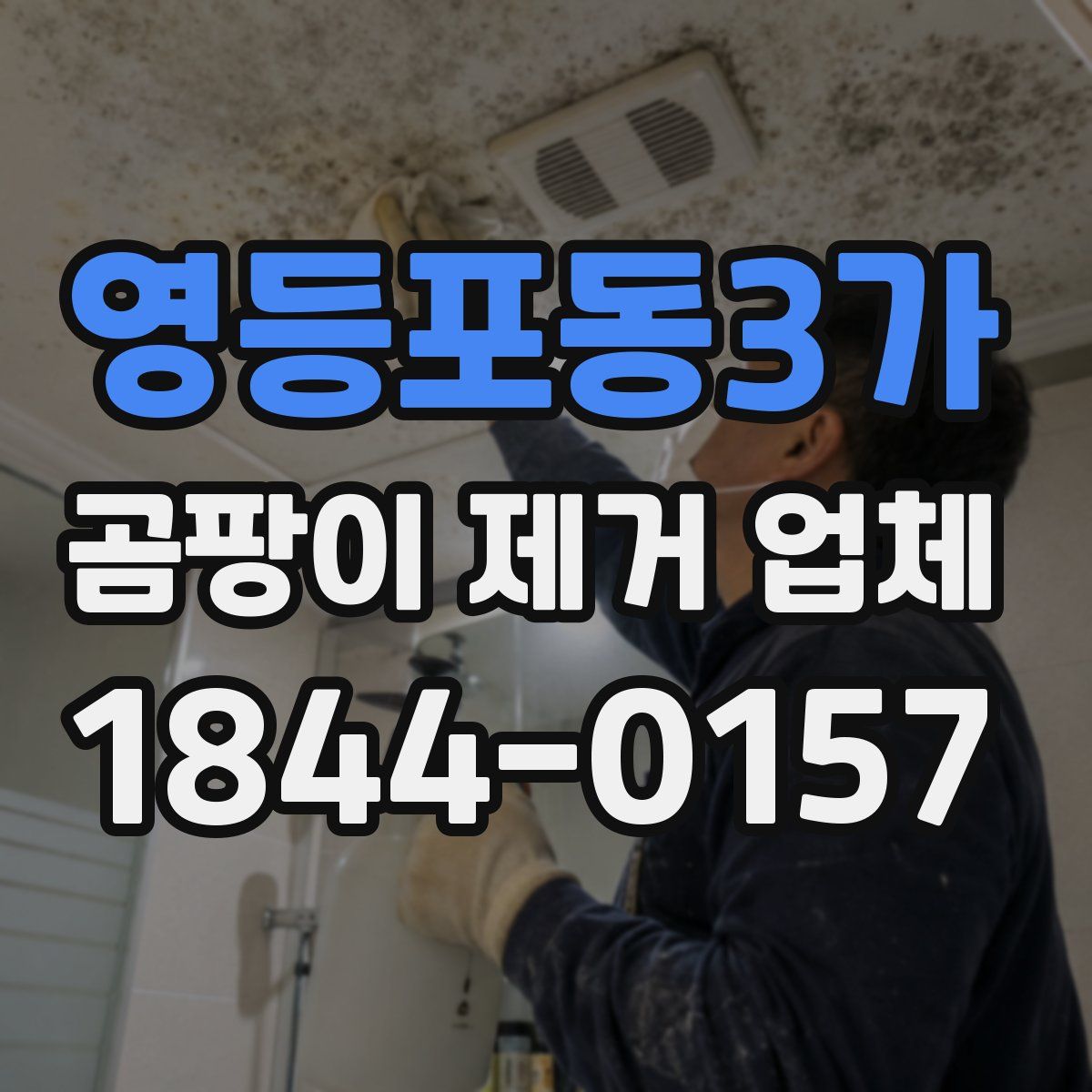 영등포동3가 곰팡이 제거 업체