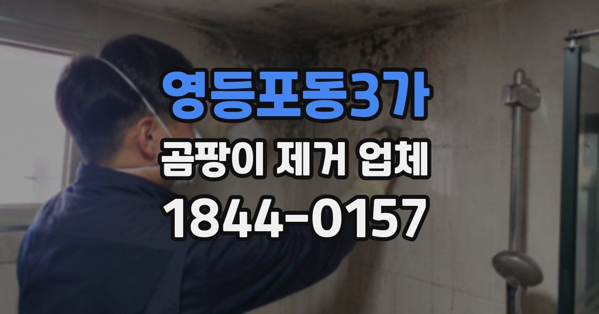 영등포동3가 곰팡이 제거 업체
