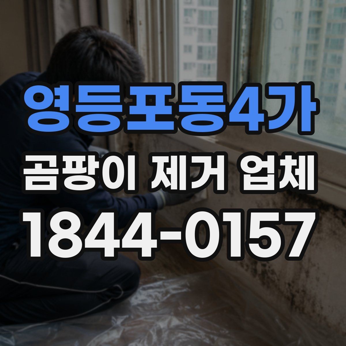 영등포동4가 곰팡이 제거 업체 상담 시 예상 견적 확인하기