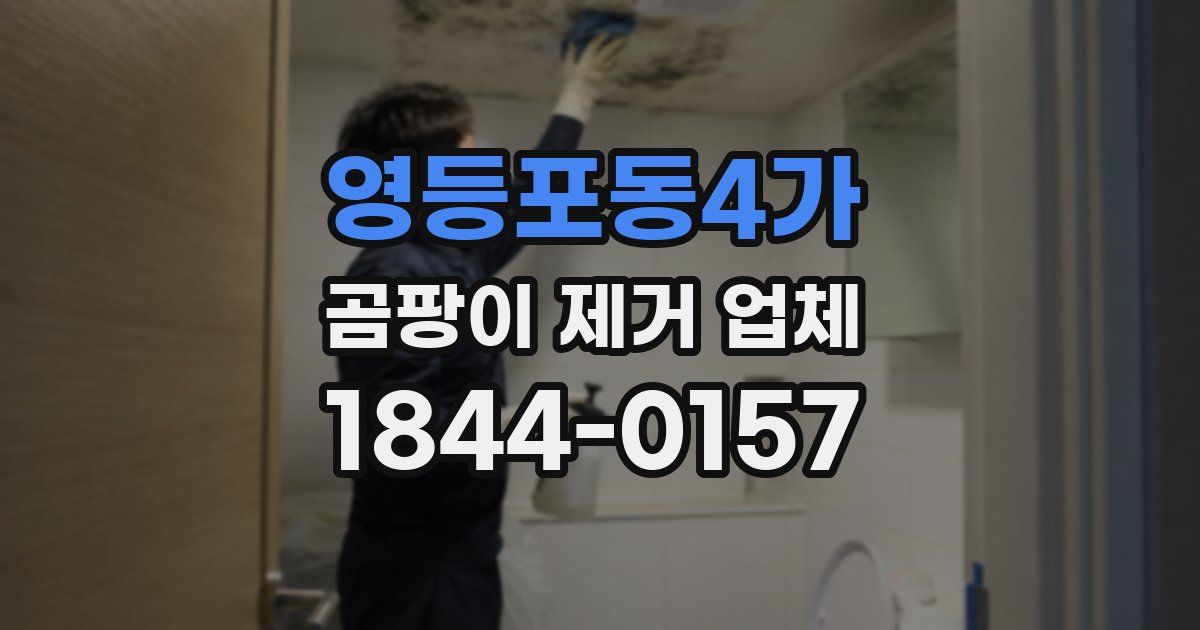 영등포동4가 곰팡이 제거 업체