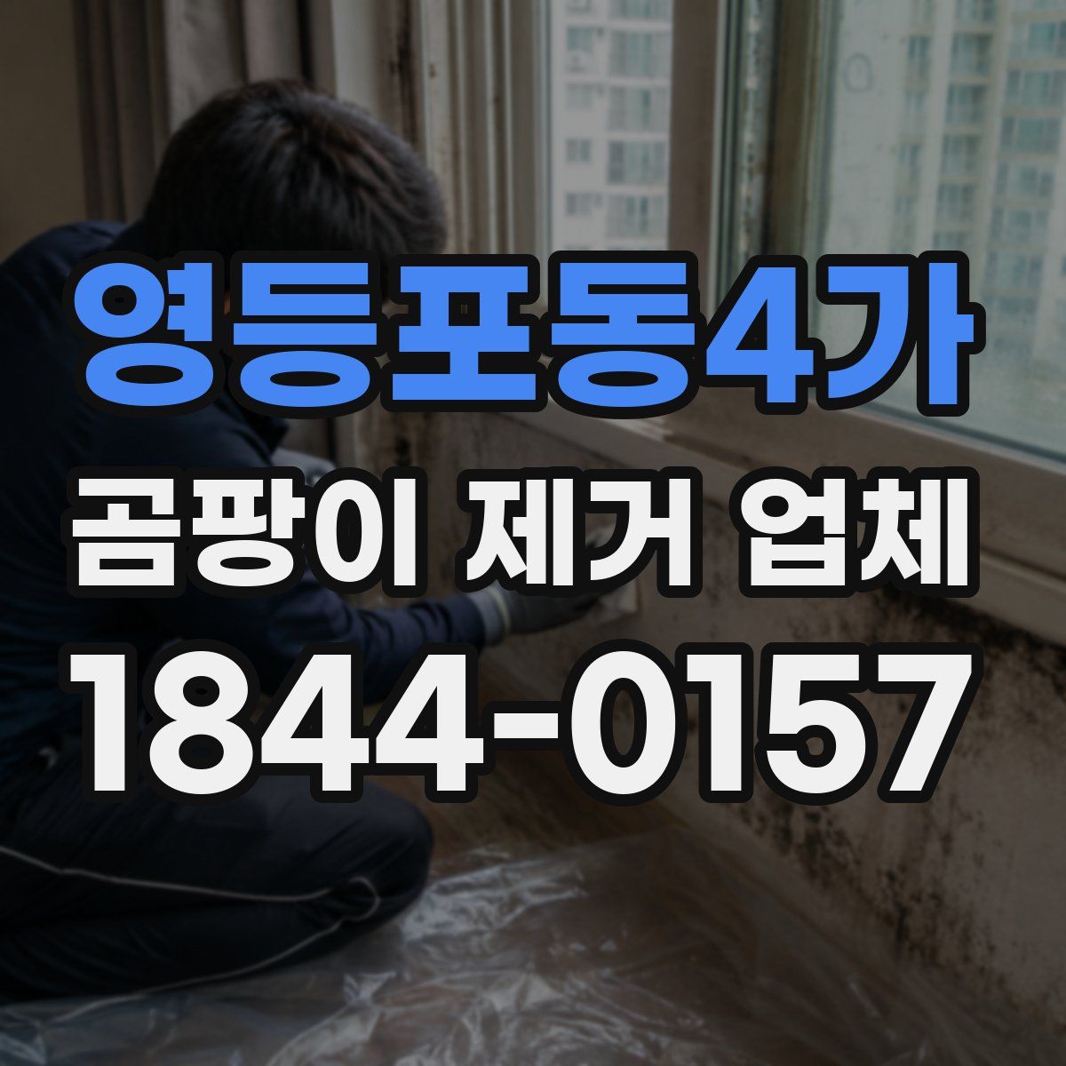 영등포동4가 곰팡이 제거 업체