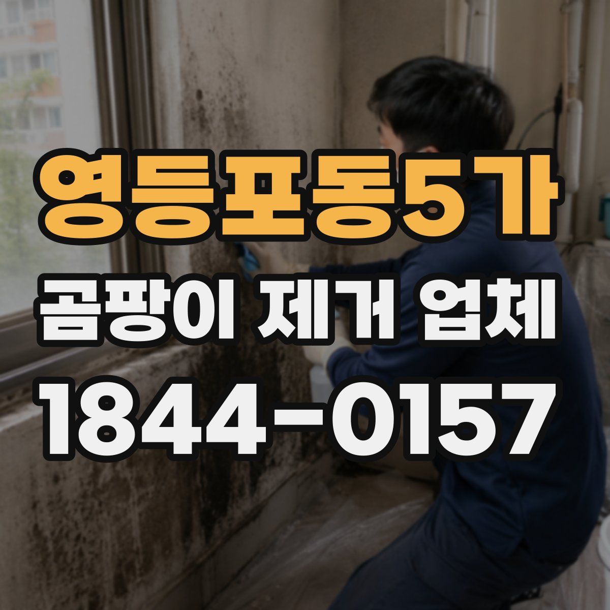 영등포동5가 곰팡이 제거 업체