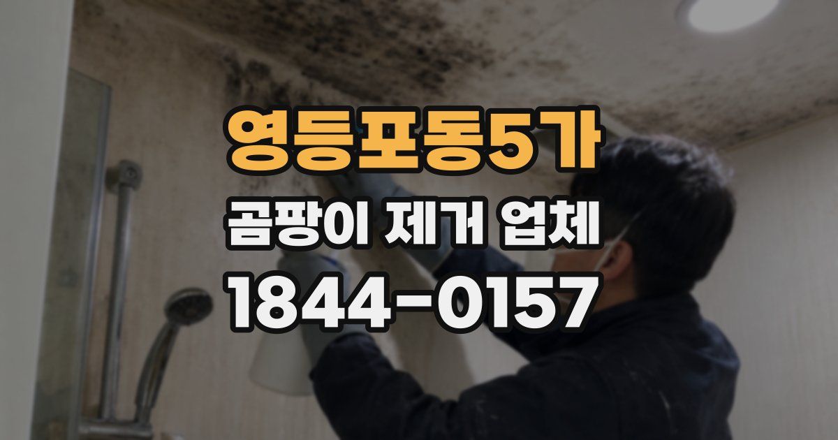 영등포동5가 곰팡이 제거 업체