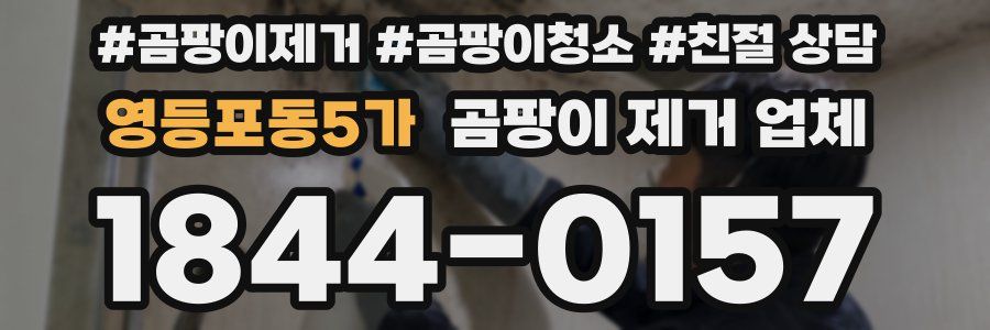 영등포동5가 곰팡이 제거 업체