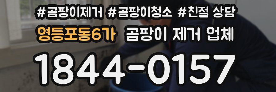 영등포동6가 곰팡이 제거 업체