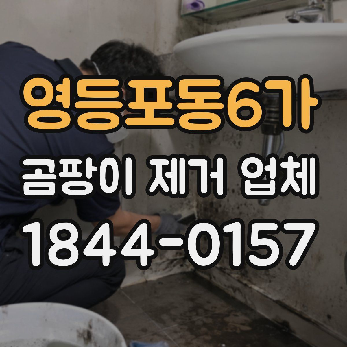 영등포동6가 곰팡이 제거 업체