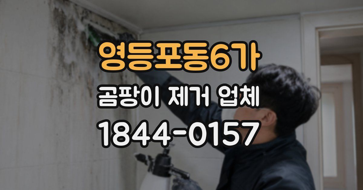영등포동6가 곰팡이 제거 업체