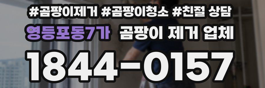 영등포동7가 곰팡이 제거 업체