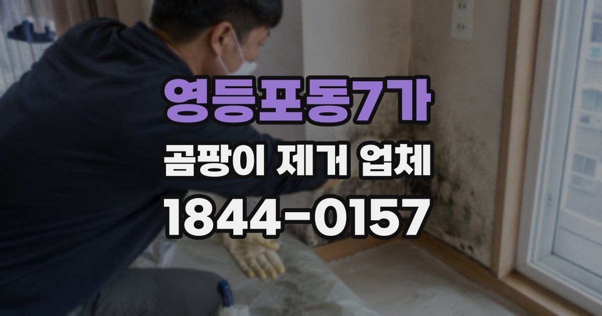 영등포동7가 곰팡이 제거 업체