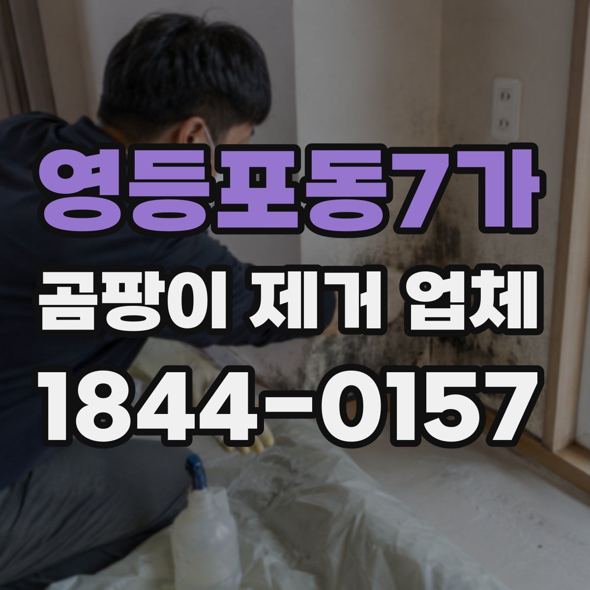 영등포동7가 곰팡이 제거 업체