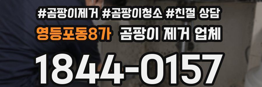 영등포동8가 곰팡이 제거 업체