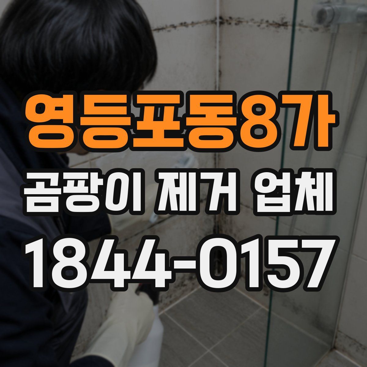 영등포동8가 곰팡이 제거 업체