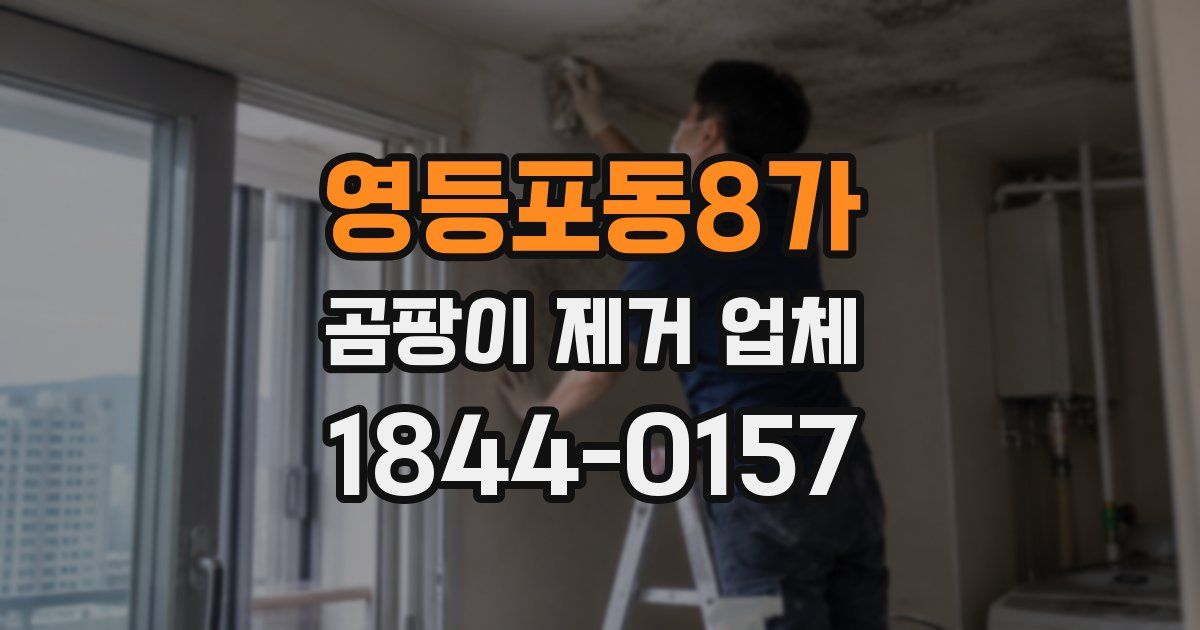 영등포동8가 곰팡이 제거 업체