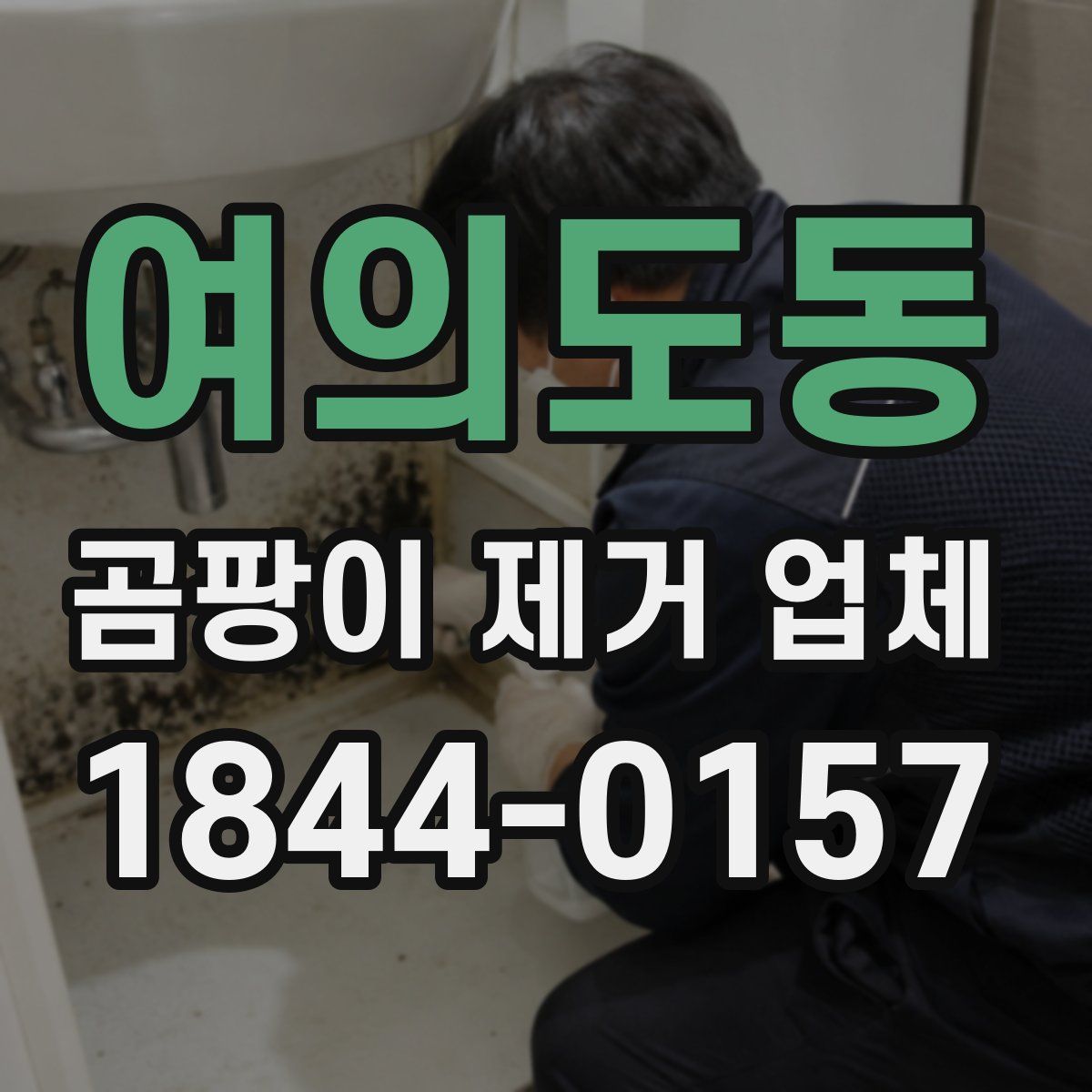 여의도동 곰팡이 제거 업체