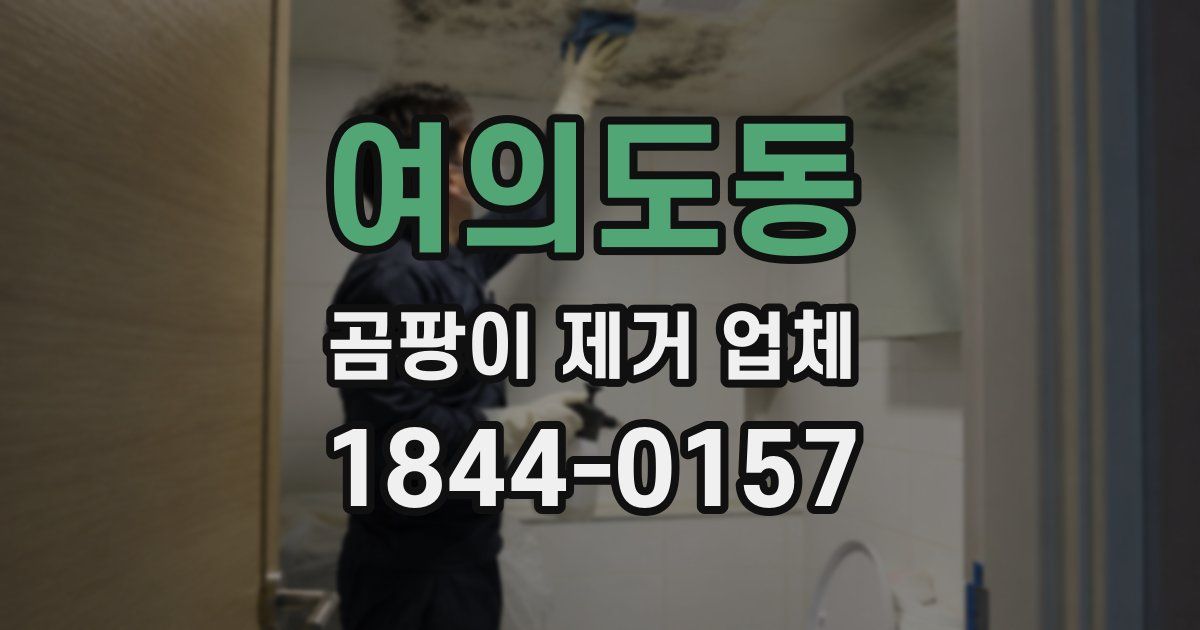 여의도동 곰팡이 제거 업체