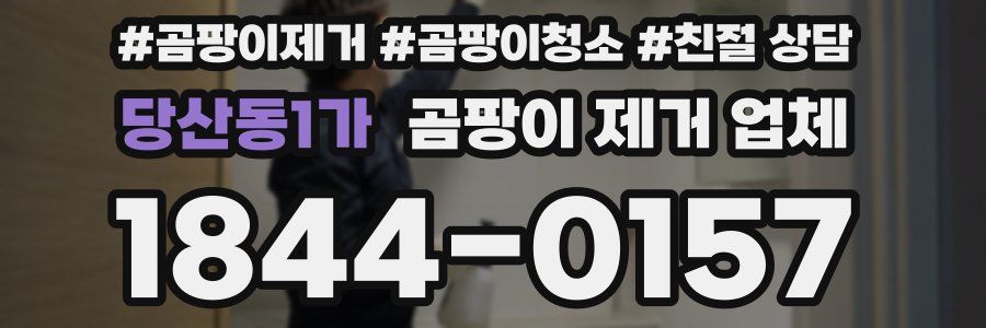 당산동1가 곰팡이 제거 업체