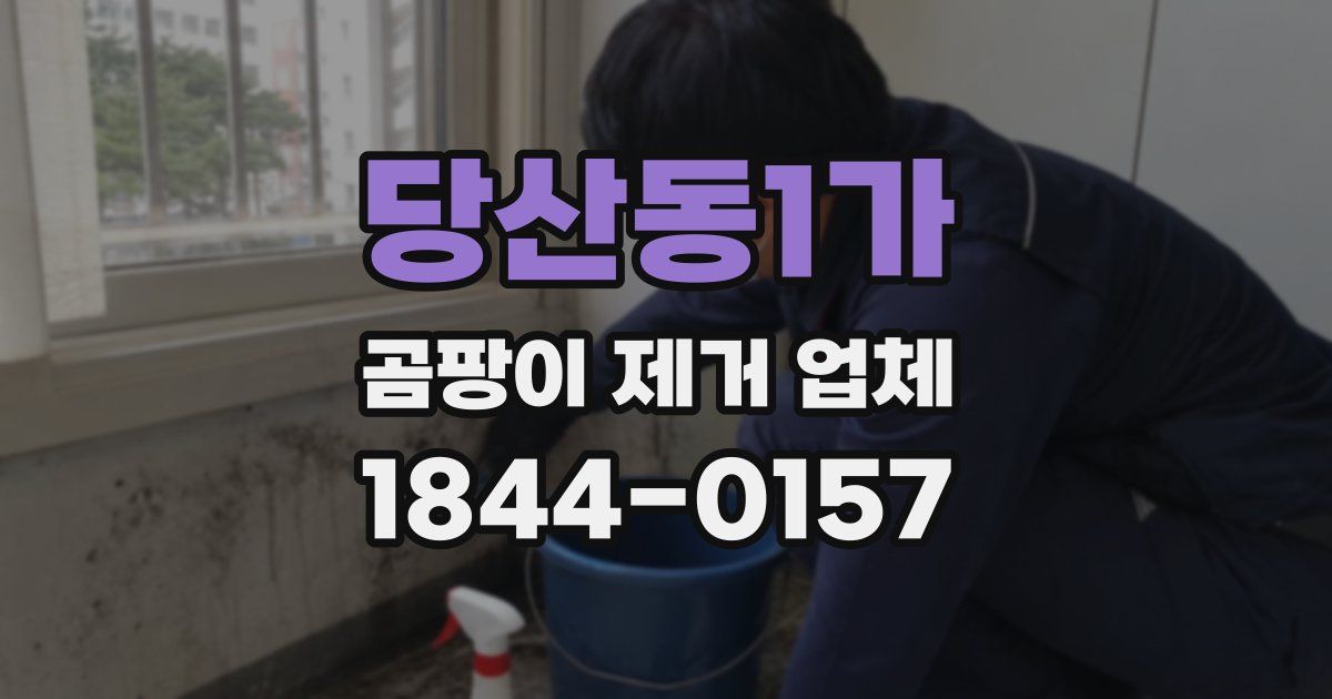 당산동1가 곰팡이 제거 업체
