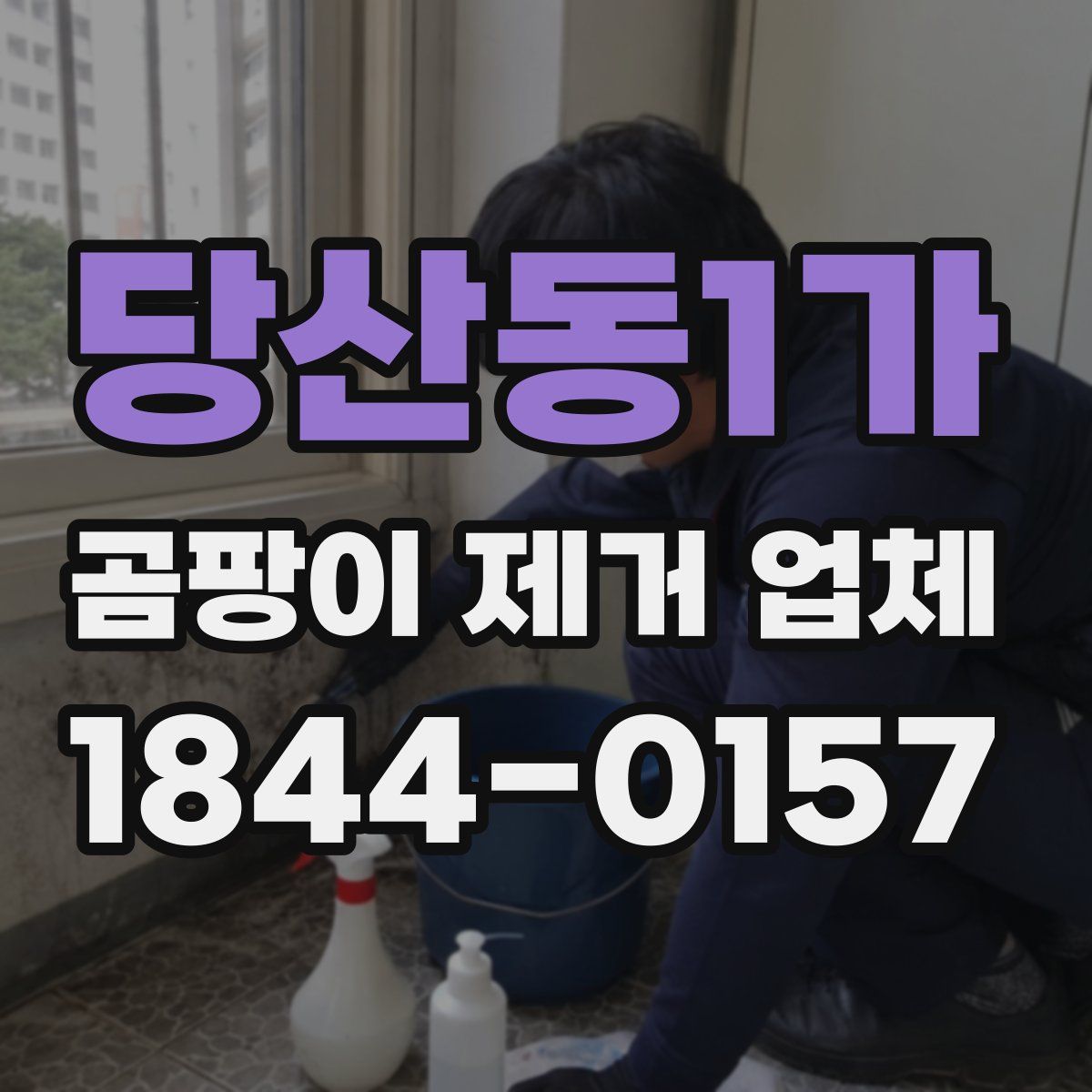 당산동1가 곰팡이 제거 업체