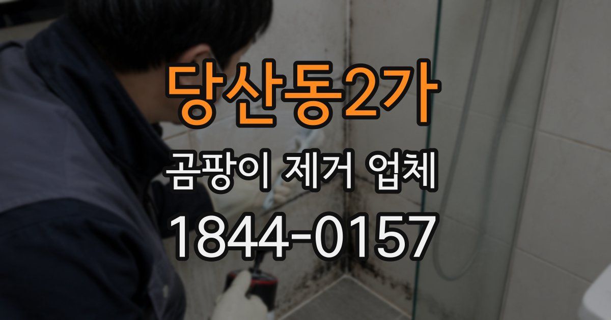 당산동2가 곰팡이 제거 업체