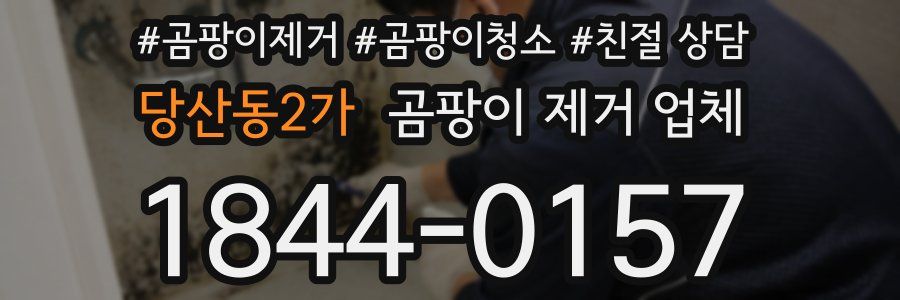 당산동2가 곰팡이 제거 업체
