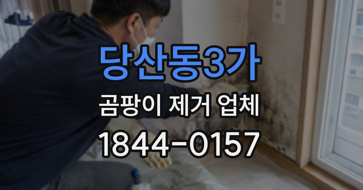 당산동3가 곰팡이 제거 업체