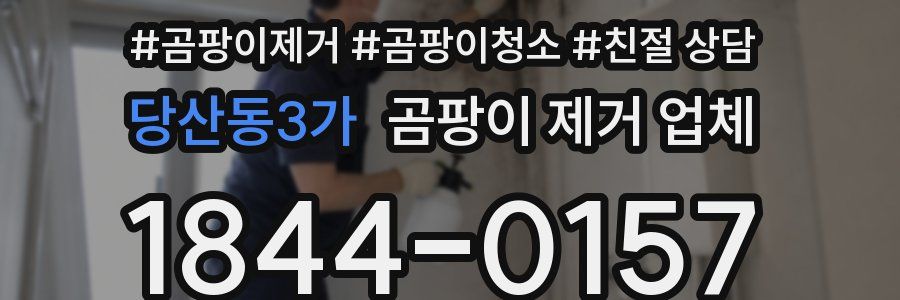 당산동3가 곰팡이 제거 업체