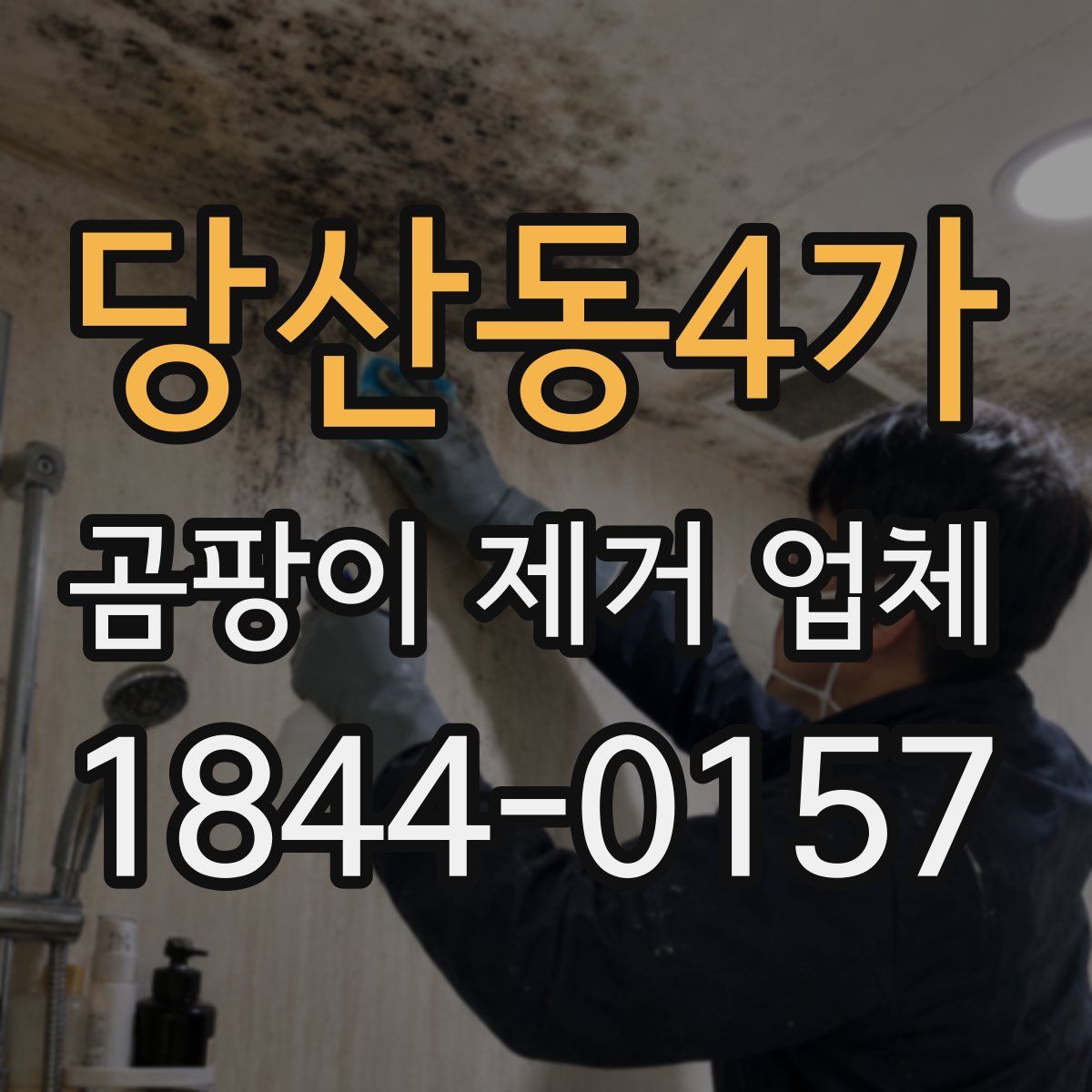 당산동4가 곰팡이 제거 업체
