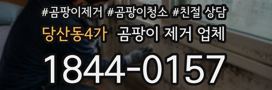당산동4가 곰팡이 제거 업체