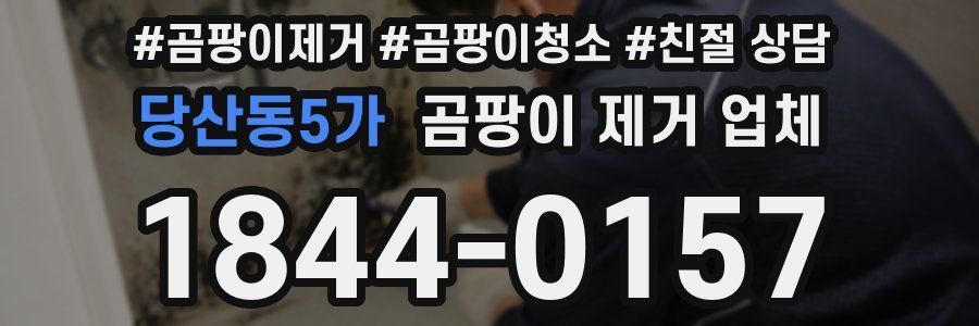 당산동5가 곰팡이 제거 업체