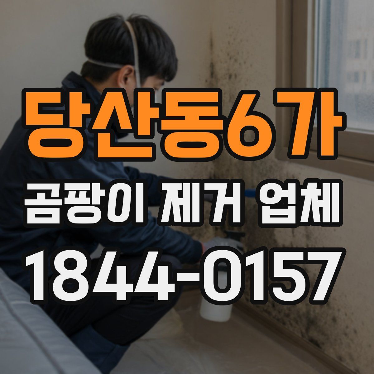 당산동6가 곰팡이 제거 업체