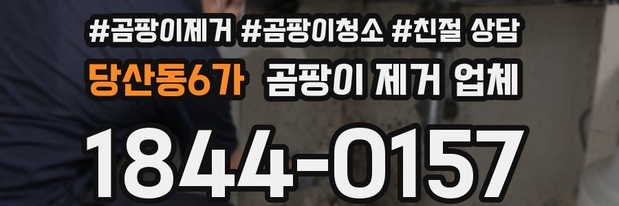 당산동6가 곰팡이 제거 업체
