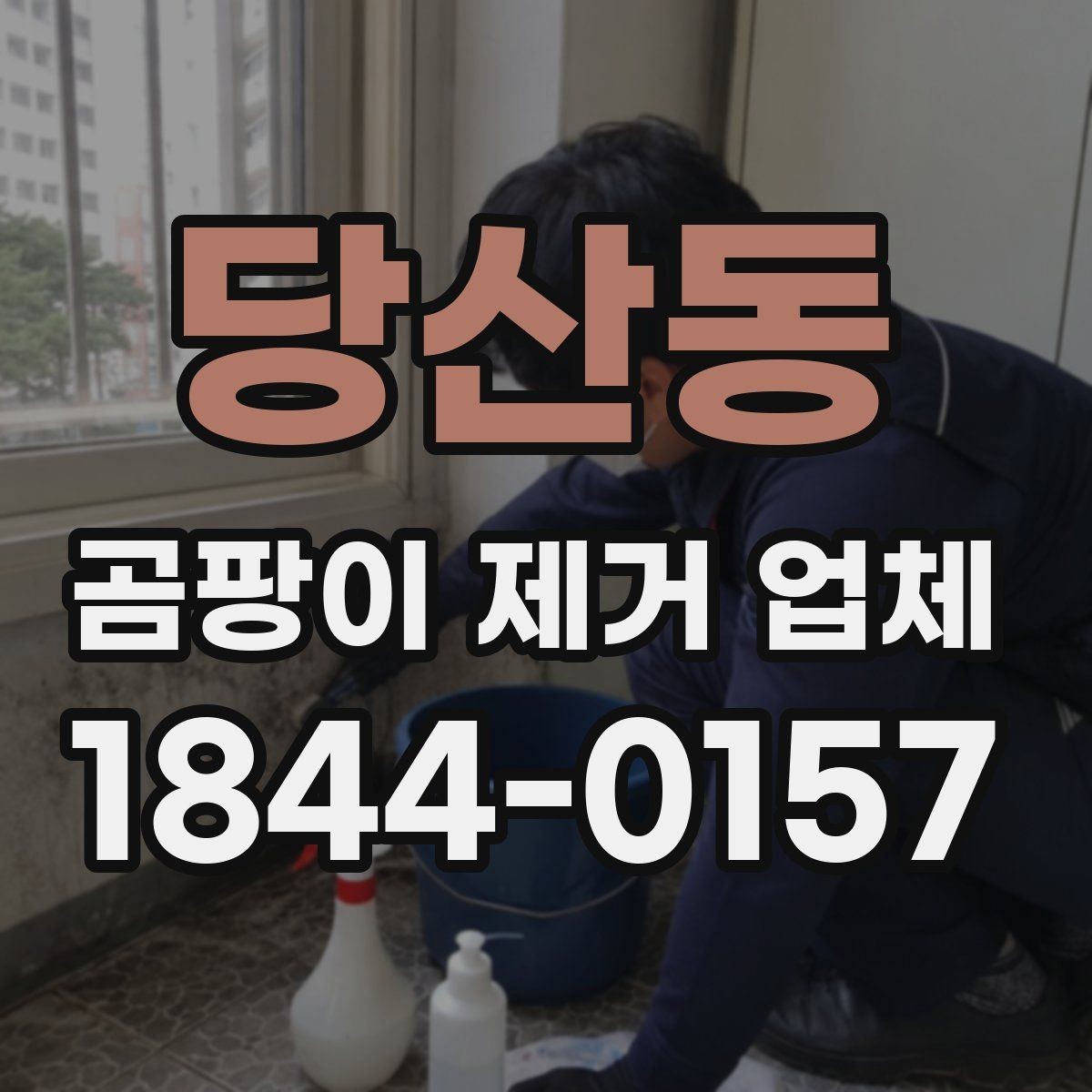 당산동 곰팡이 제거 업체 견적 문의 전 체크리스트