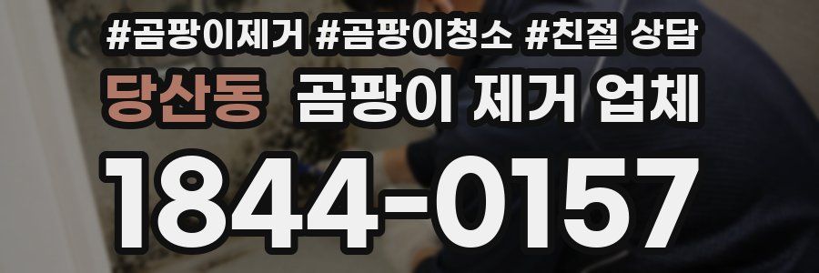 당산동 곰팡이 제거 업체