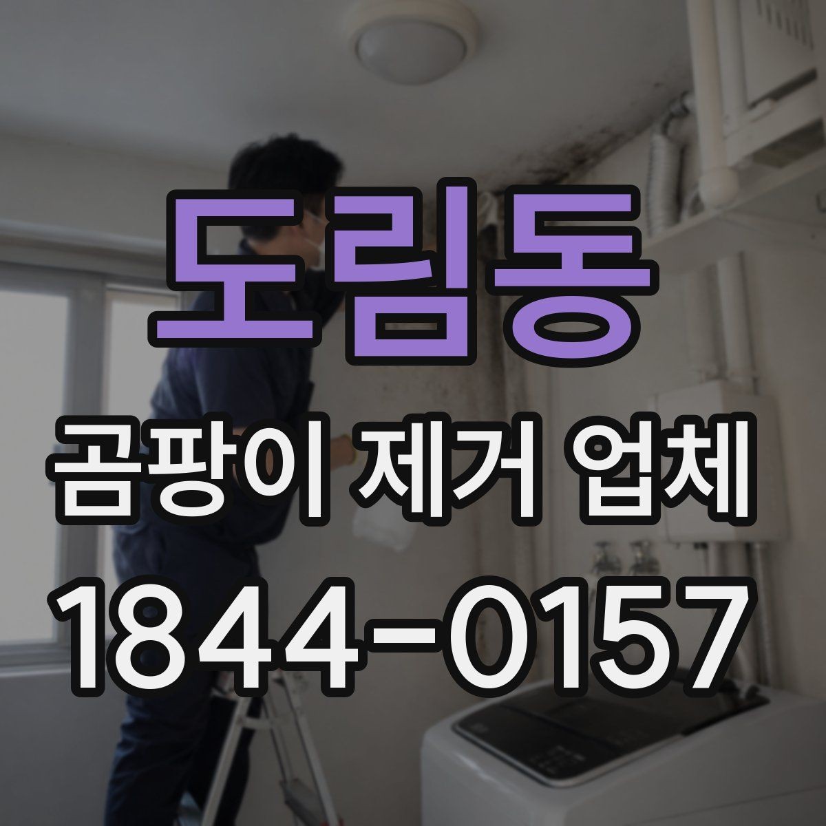 도림동 곰팡이 제거 업체 선택에 도움이 되는 체크 포인트