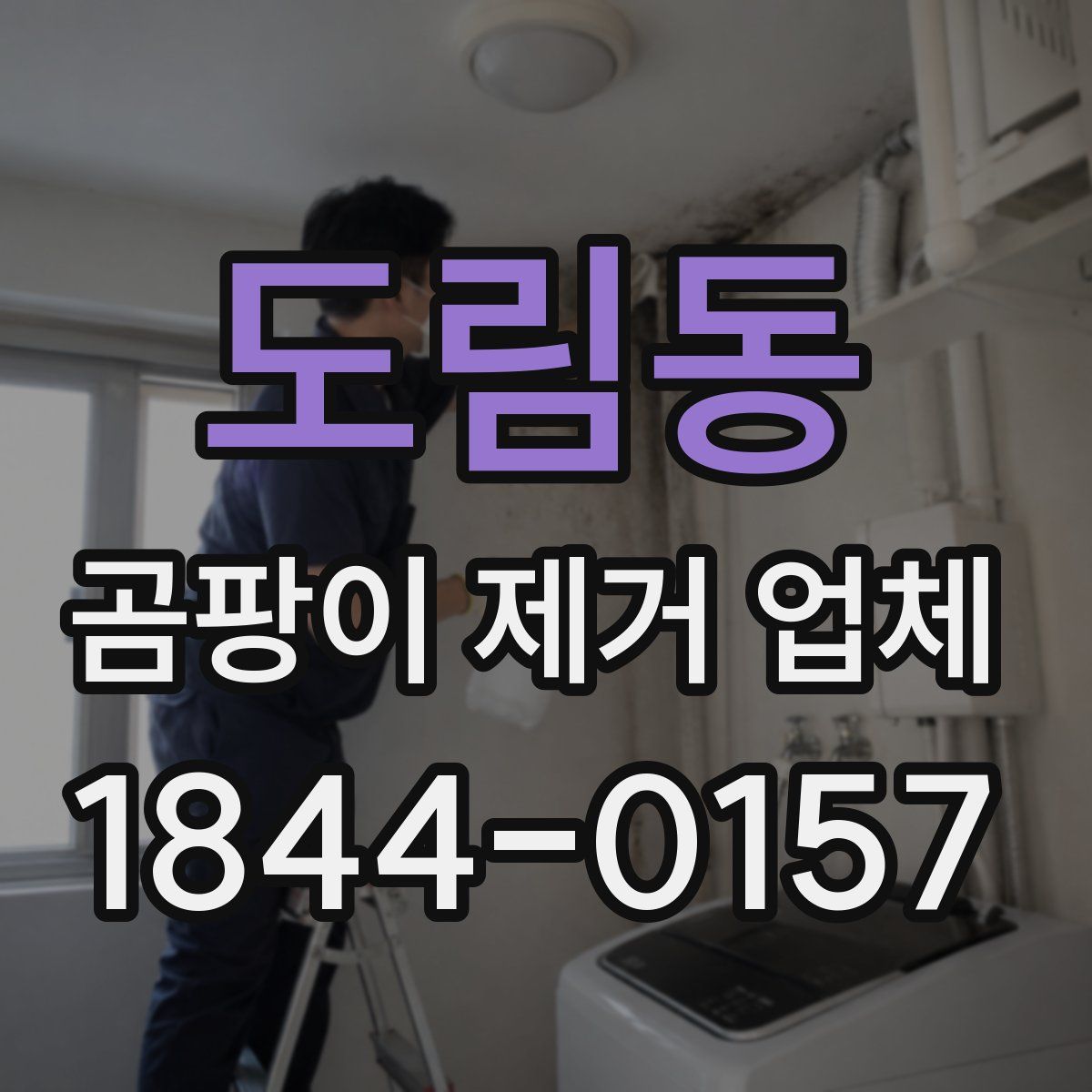 도림동 곰팡이 제거 업체