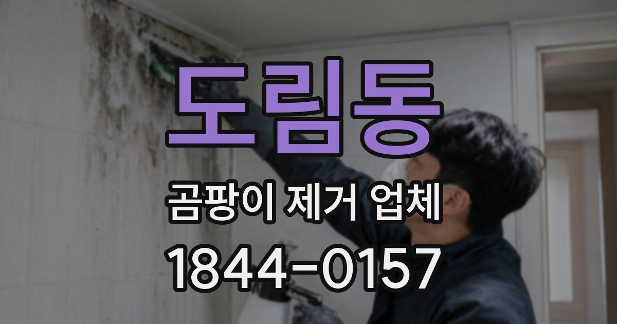 도림동 곰팡이 제거 업체