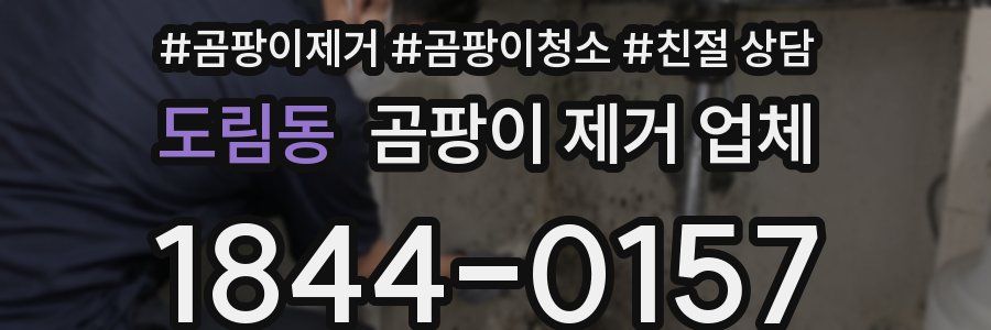 도림동 곰팡이 제거 업체