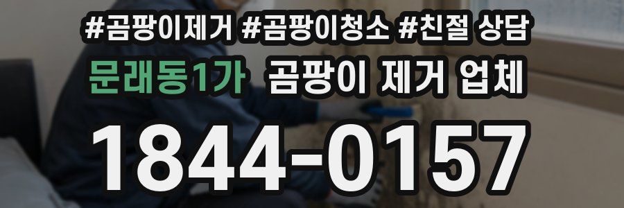 문래동1가 곰팡이 제거 업체