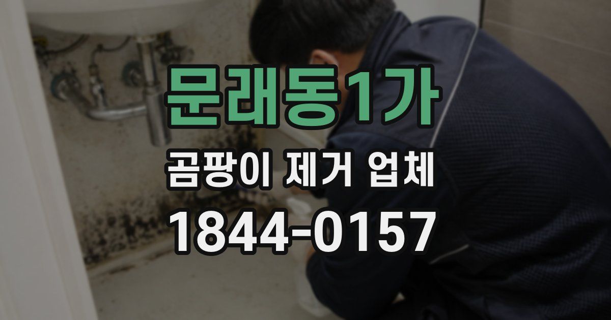 문래동1가 곰팡이 제거 업체