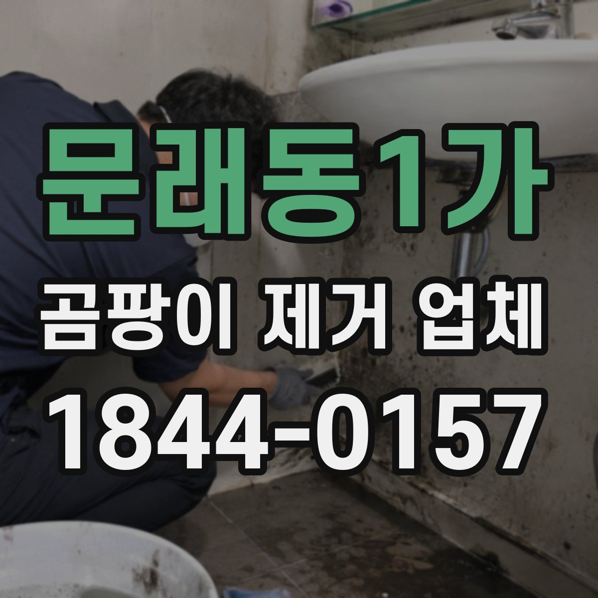 문래동1가 곰팡이 제거 업체