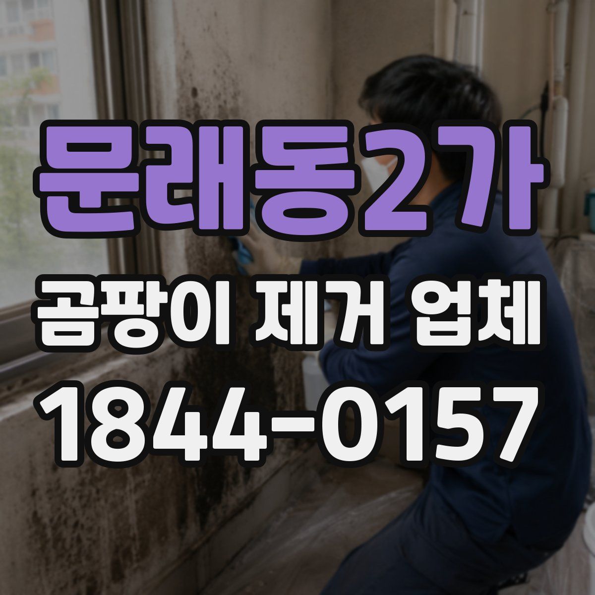 문래동2가 곰팡이 제거 업체