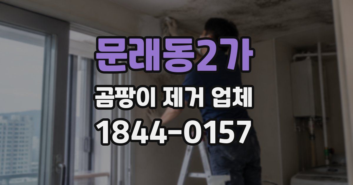 문래동2가 곰팡이 제거 업체