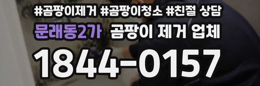 문래동2가 곰팡이 제거 업체