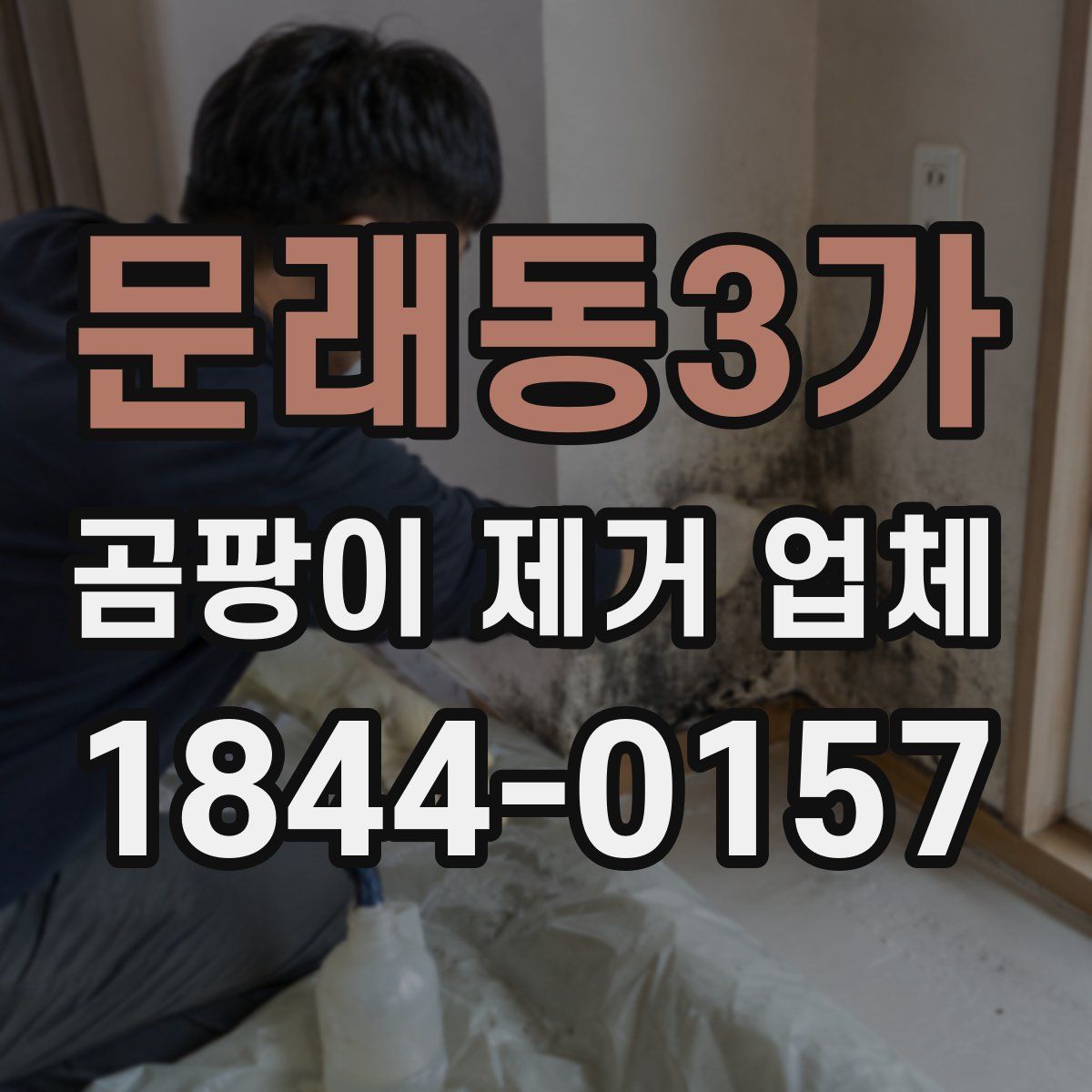 문래동3가 곰팡이 제거 업체