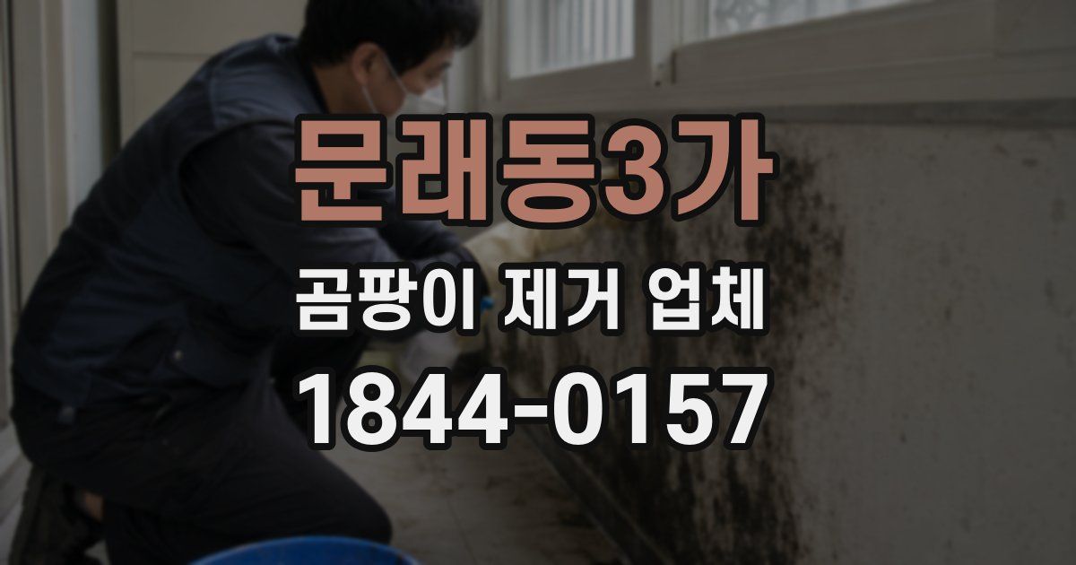 문래동3가 곰팡이 제거 업체