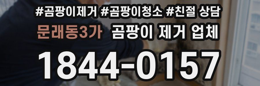 문래동3가 곰팡이 제거 업체