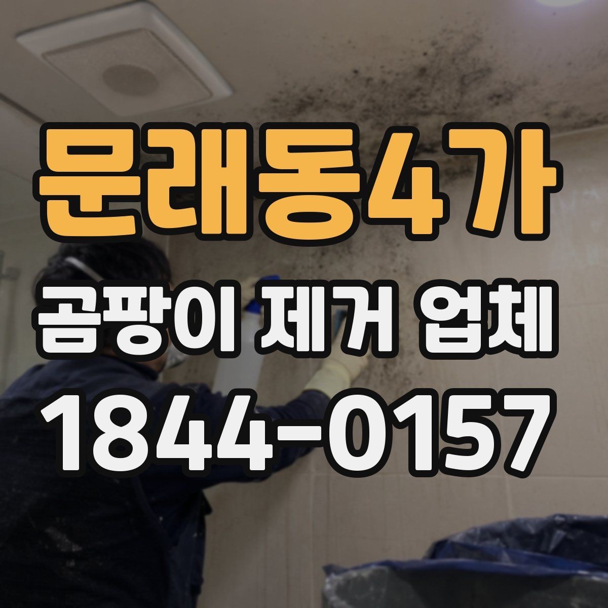 문래동4가 곰팡이 제거 업체 작업 전후 비교 포인트