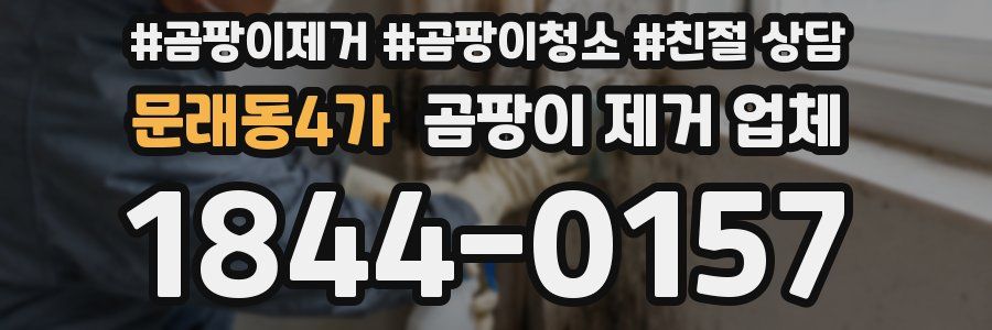 문래동4가 곰팡이 제거 업체