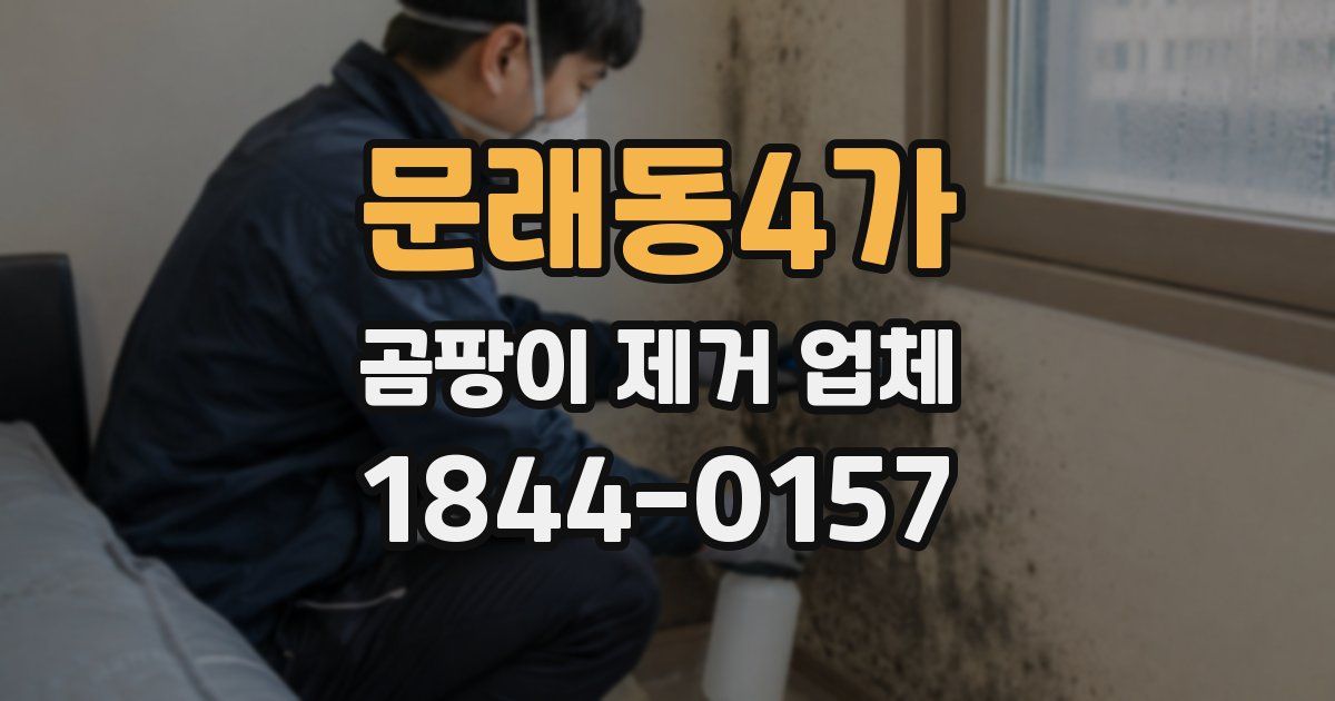 문래동4가 곰팡이 제거 업체