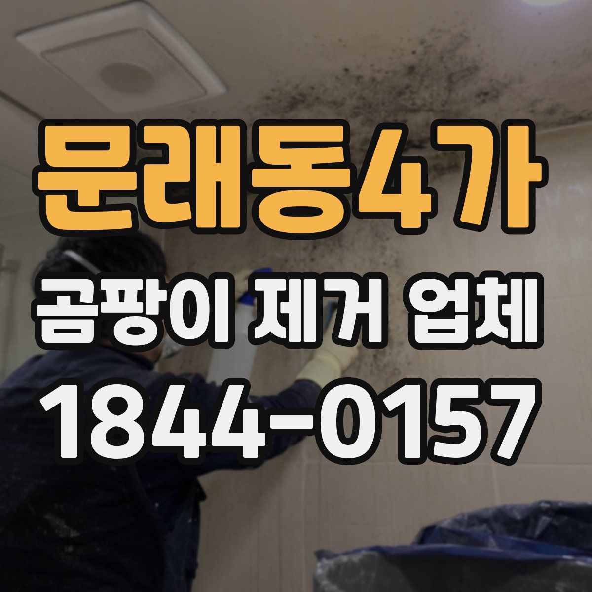 문래동4가 곰팡이 제거 업체